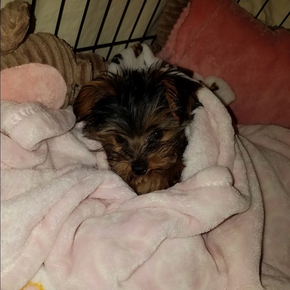 Meet your Posher, Sarah